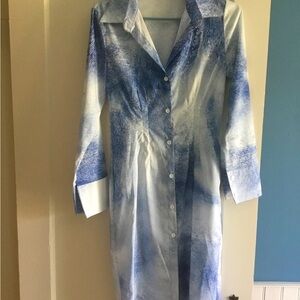 Blue and White Dress